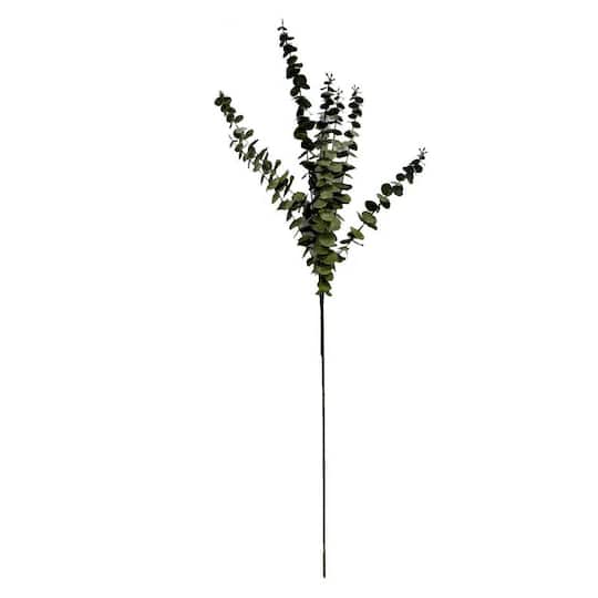 41" Eucalyptus Stem by Ashland®